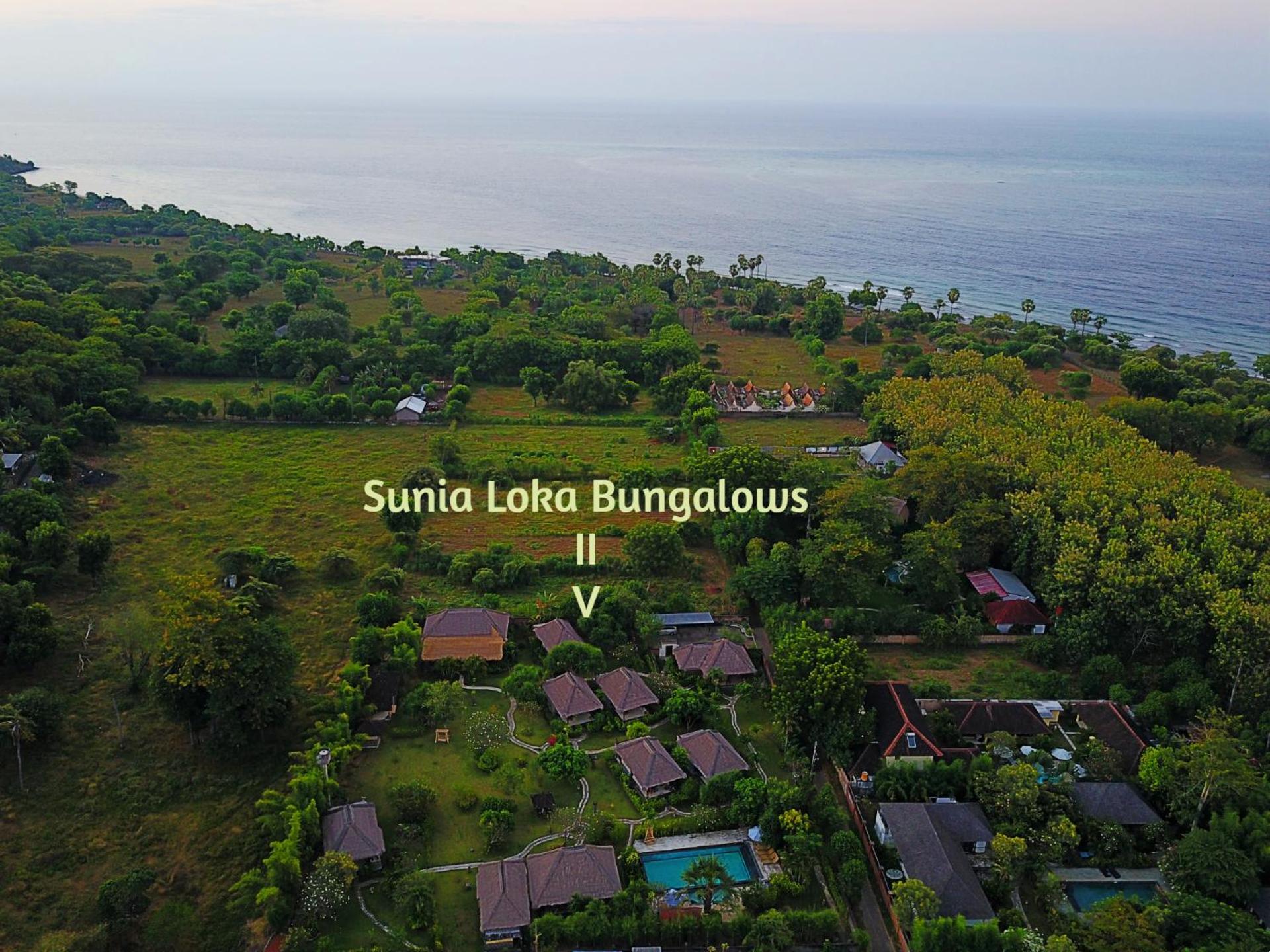 Sunia Loka Bungalows & Dive Center Pemuteran Eksteriør bilde