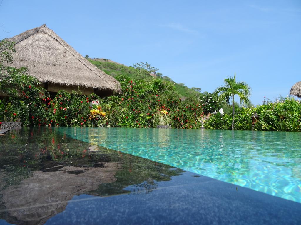 Sunia Loka Bungalows & Dive Center Pemuteran Eksteriør bilde