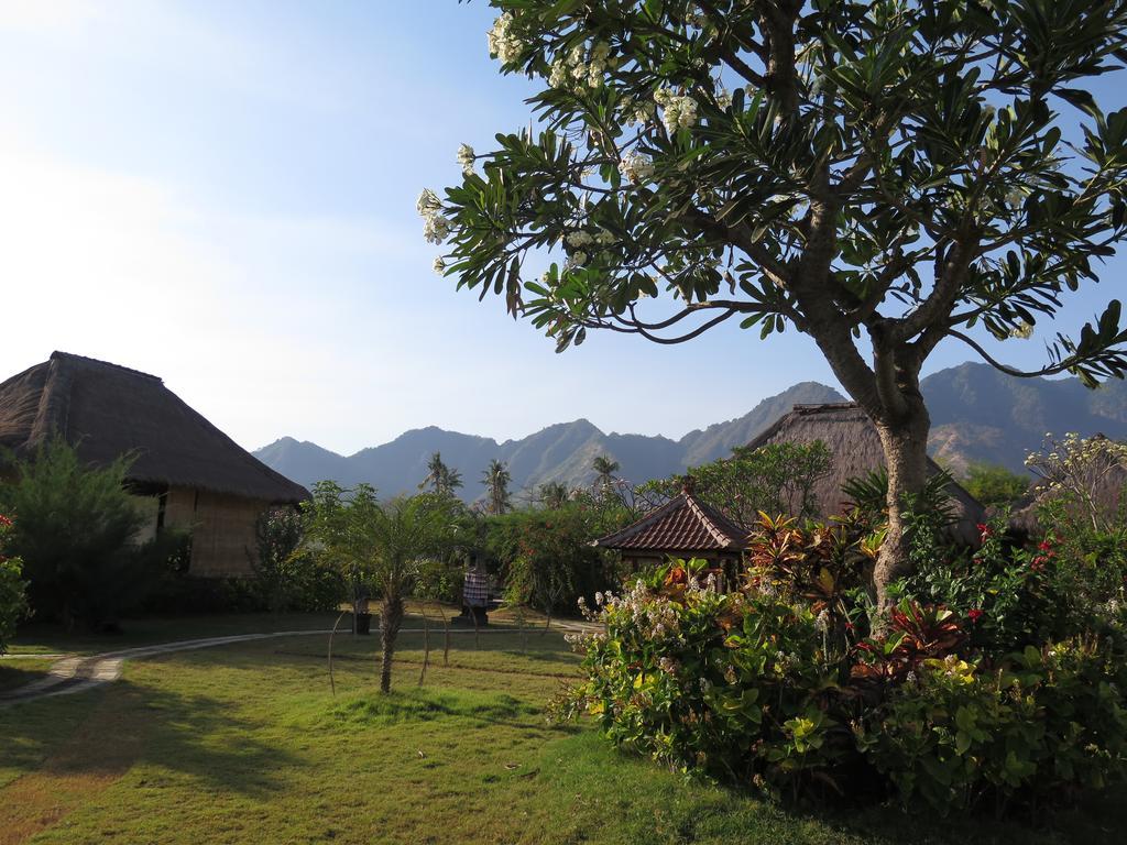 Sunia Loka Bungalows & Dive Center Pemuteran Eksteriør bilde