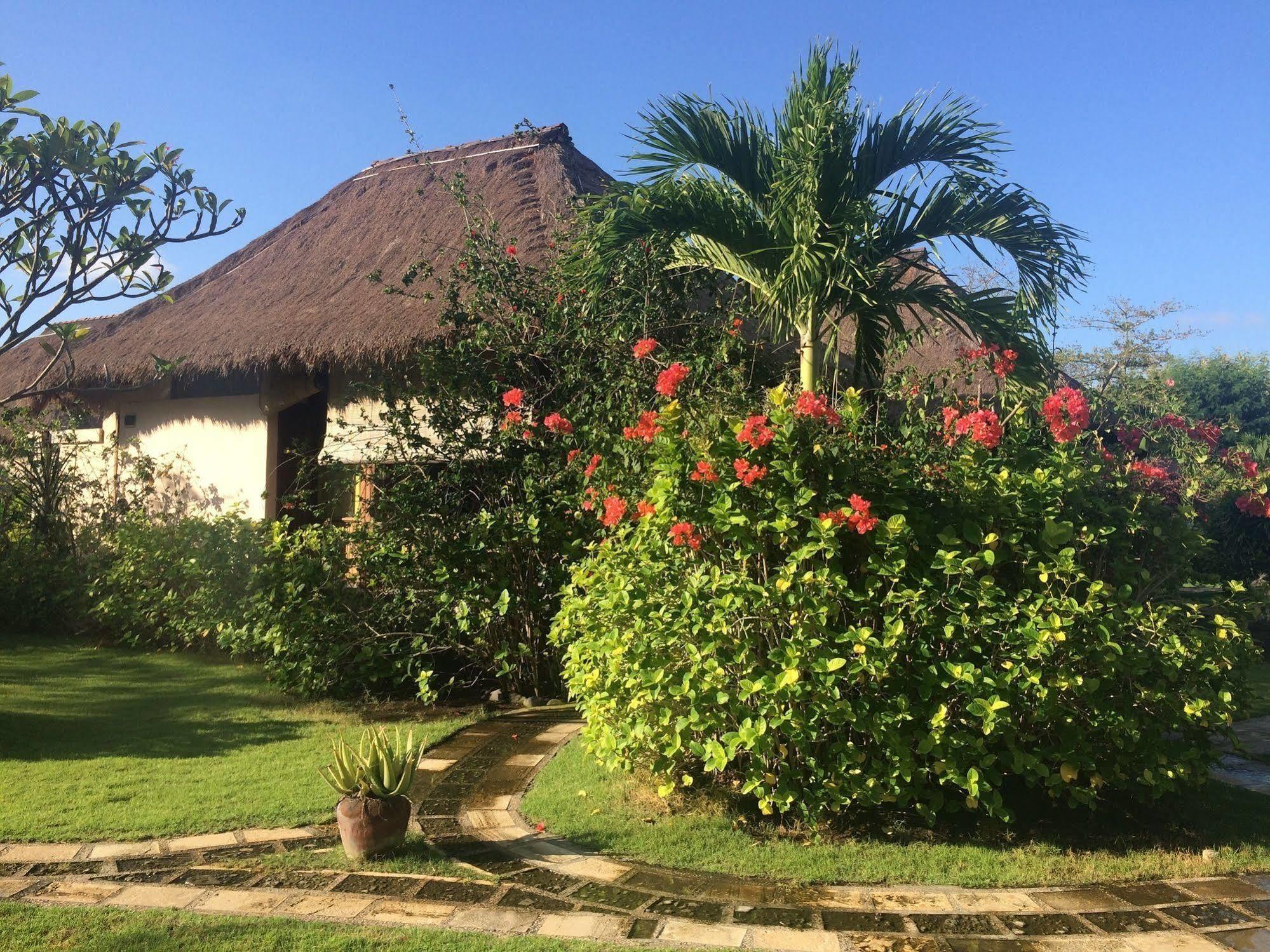 Sunia Loka Bungalows & Dive Center Pemuteran Eksteriør bilde