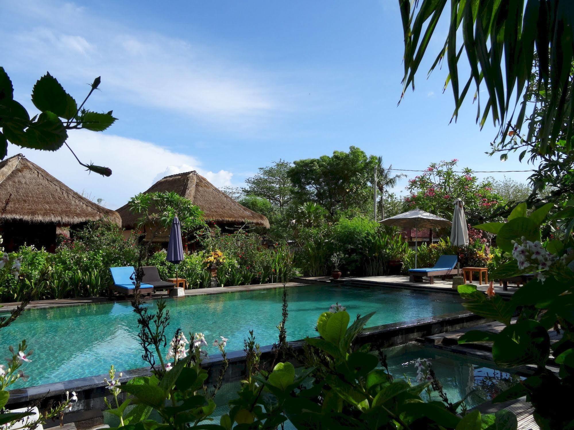 Sunia Loka Bungalows & Dive Center Pemuteran Eksteriør bilde