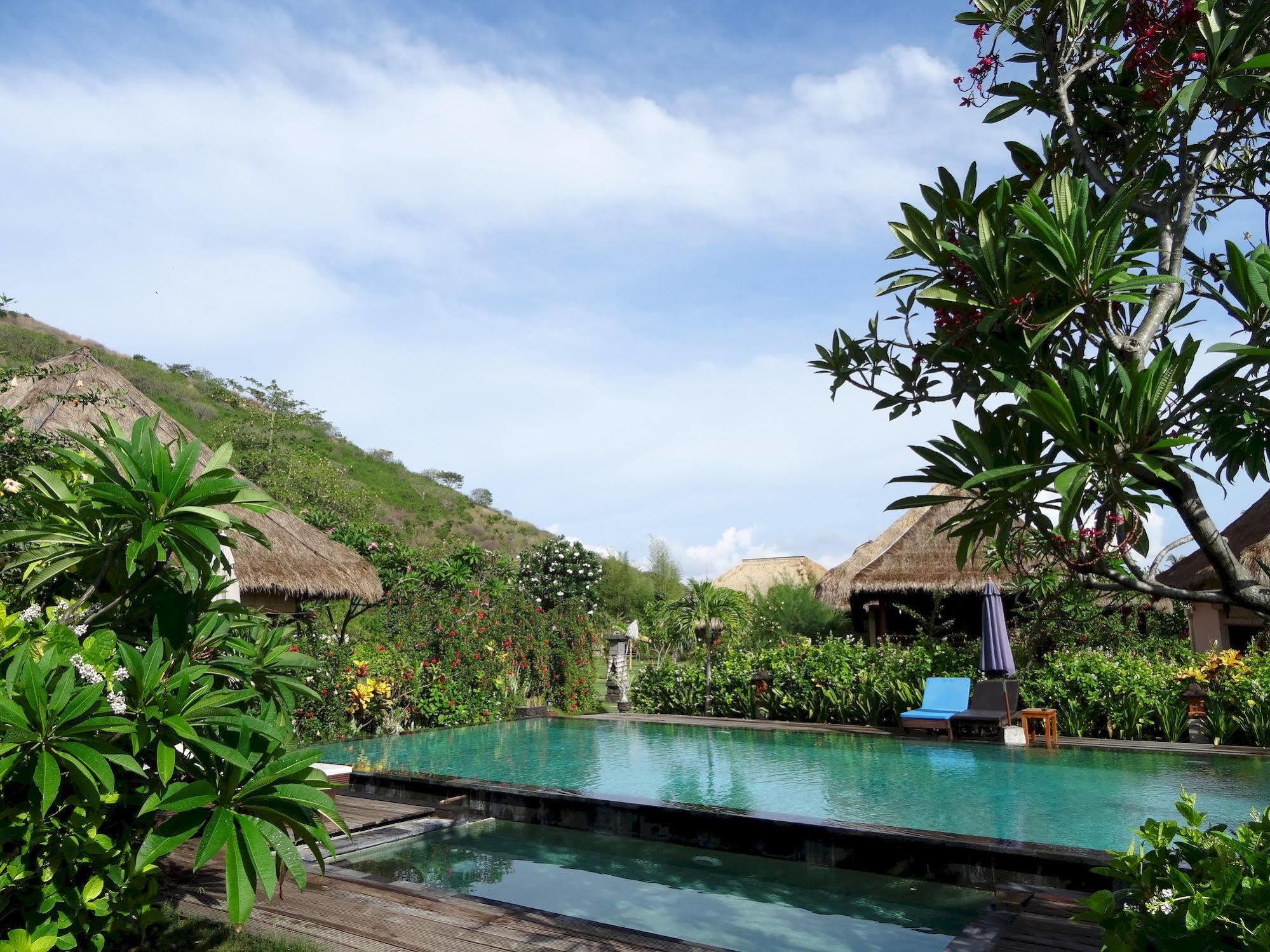 Sunia Loka Bungalows & Dive Center Pemuteran Eksteriør bilde