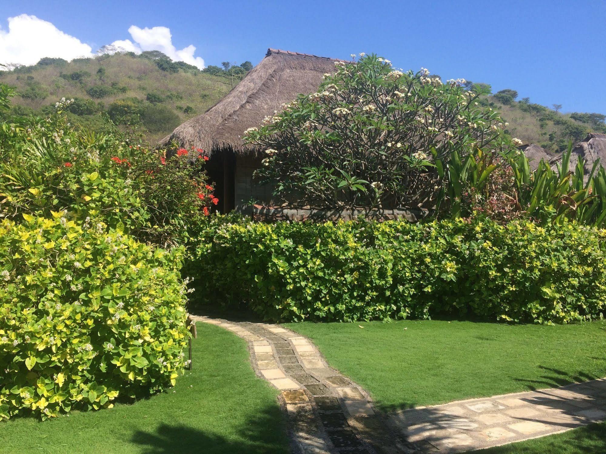 Sunia Loka Bungalows & Dive Center Pemuteran Eksteriør bilde