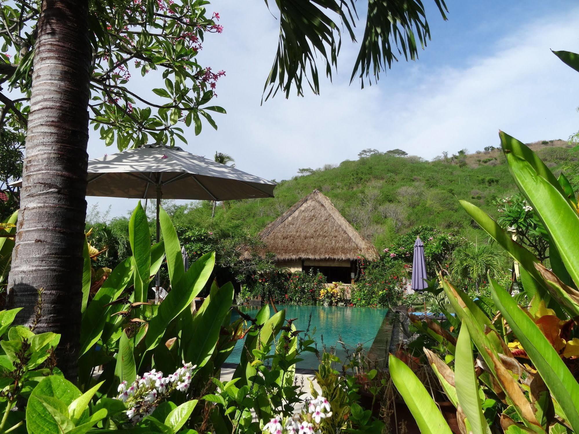 Sunia Loka Bungalows & Dive Center Pemuteran Eksteriør bilde