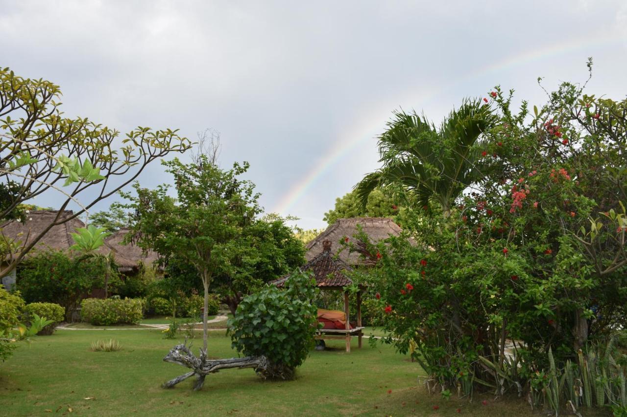 Sunia Loka Bungalows & Dive Center Pemuteran Eksteriør bilde